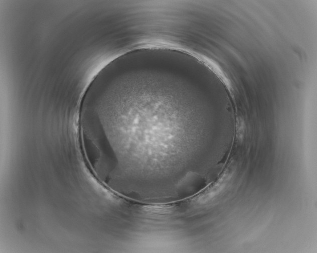 X0000112820863200908211204