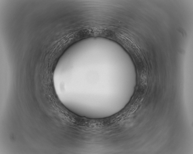 X0000112820865200908211204
