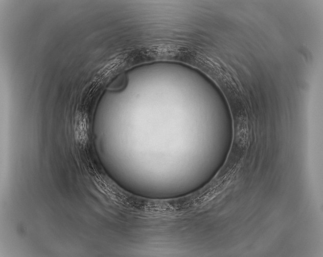 X0000112820866200908211204