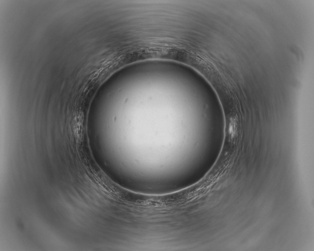 X0000112820867200908211204