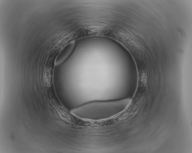 X0000112820868200908211204