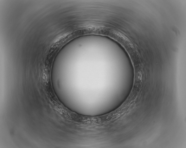 X0000112820869200908211204