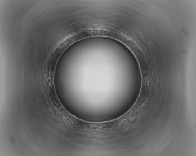 X0000112820870200908211204