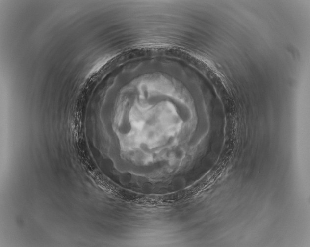 X0000112820871200908211204