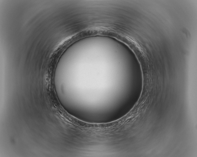 X0000112820872200908211204