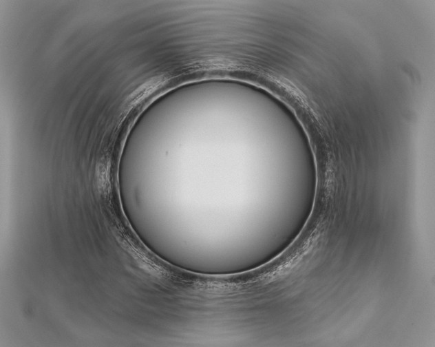 X0000112820873200908211204