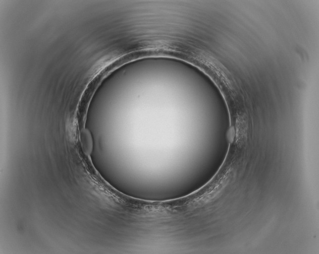 X0000112820876200908211204