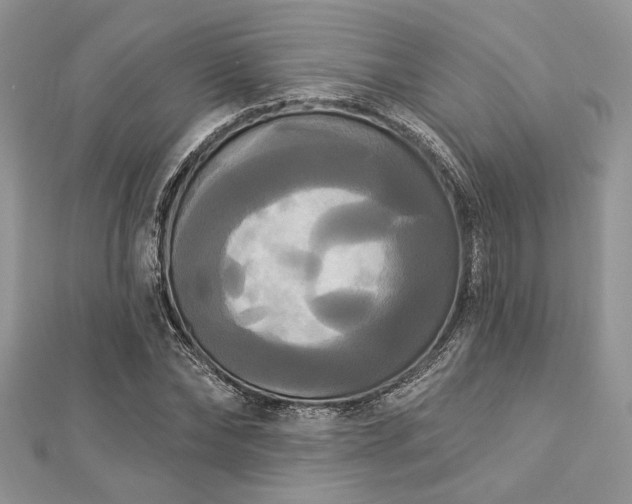 X0000112820878200908211204