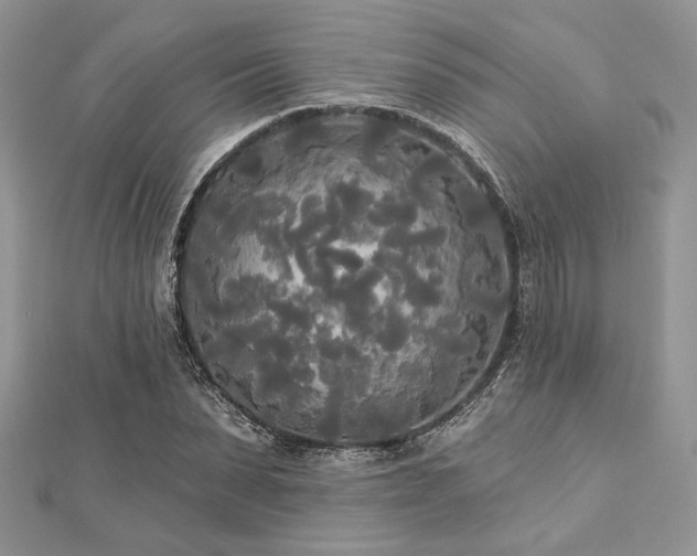 X0000112820879200908211204