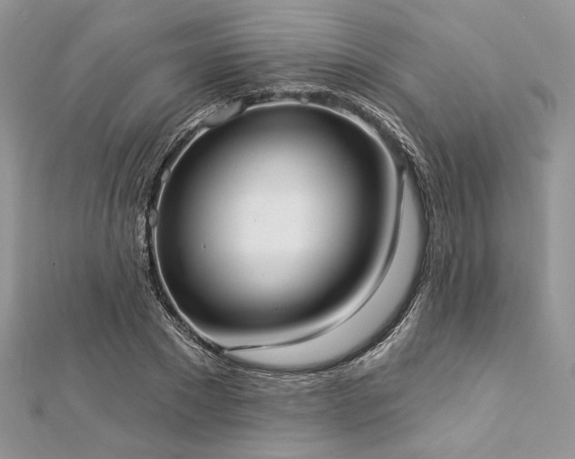 X0000112820881200908211204