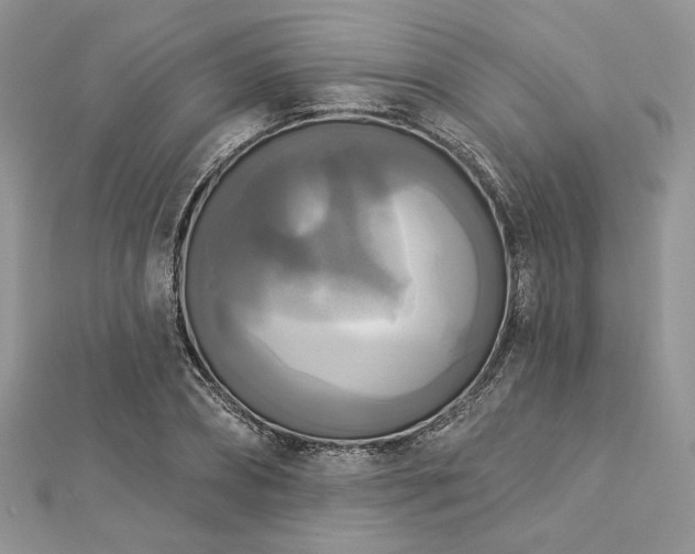 X0000112820882200908211203