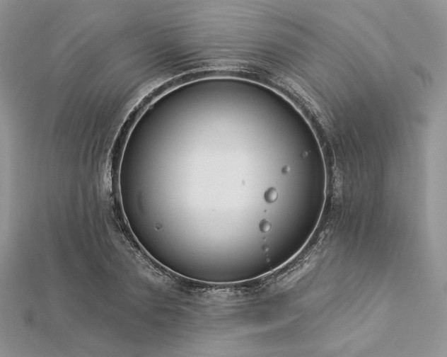 X0000112820883200908211203