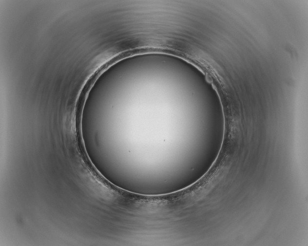 X0000112820884200908211203