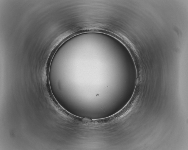 X0000112820885200908211203