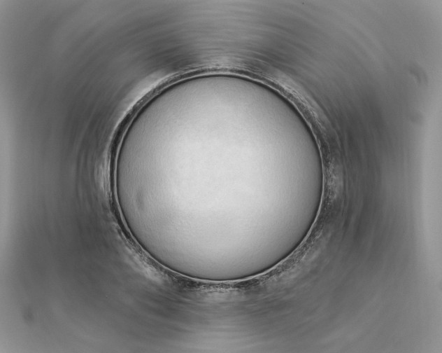 X0000112820886200908211203