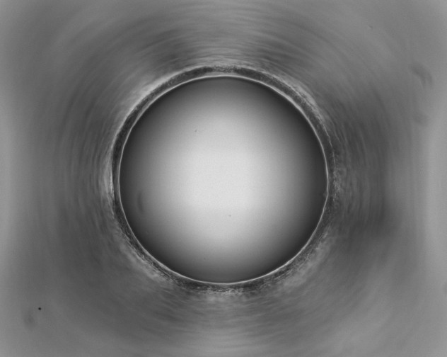 X0000112820887200908211203