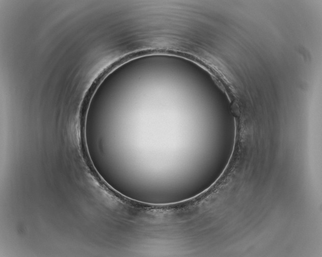 X0000112820888200908211203