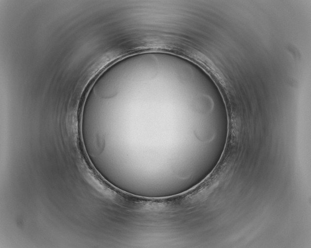 X0000112820890200908211203