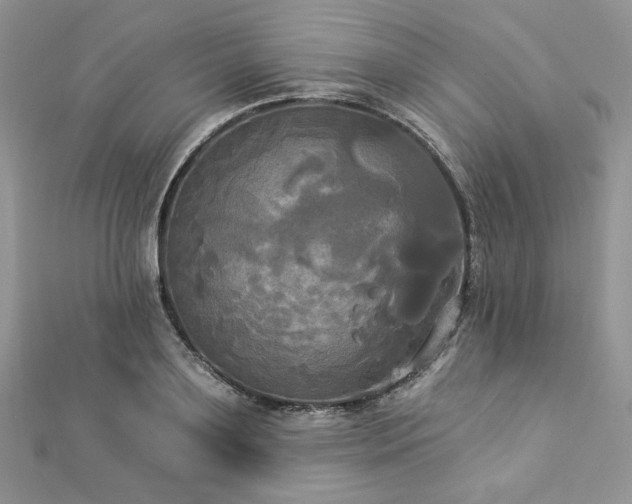 X0000112820891200908211203