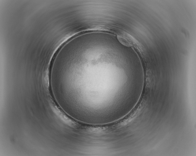 X0000112820892200908211203