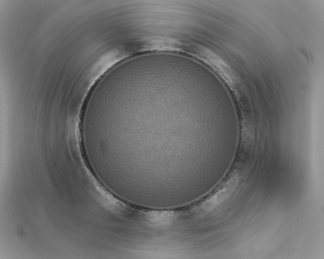 X0000112820893200908211203