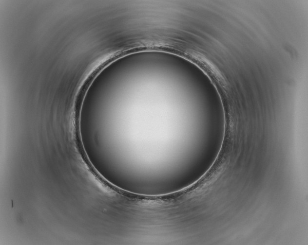 X0000112820894200908211203