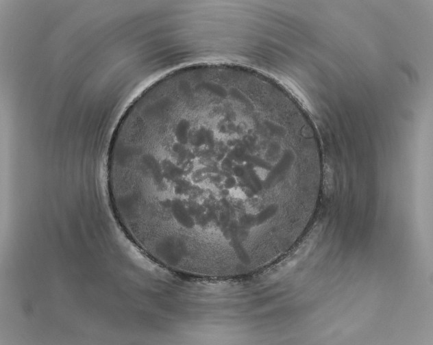 X0000112820895200908211203