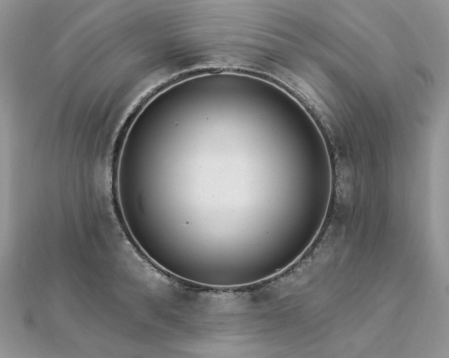 X0000112820896200908211203