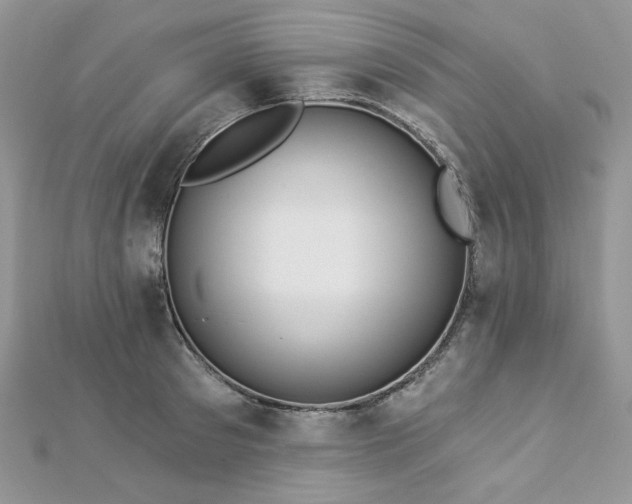 X0000112820897200908211203