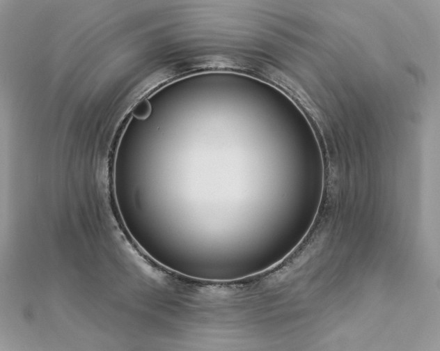 X0000112820898200908211203