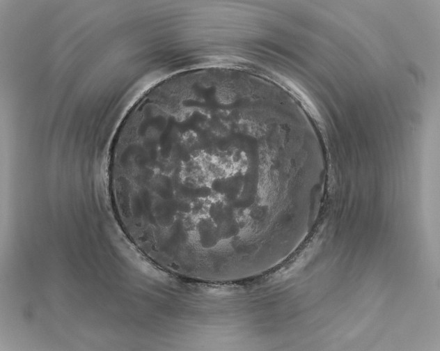X0000112820899200908211203