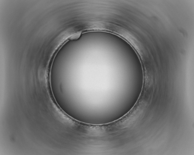 X0000112820901200908211203
