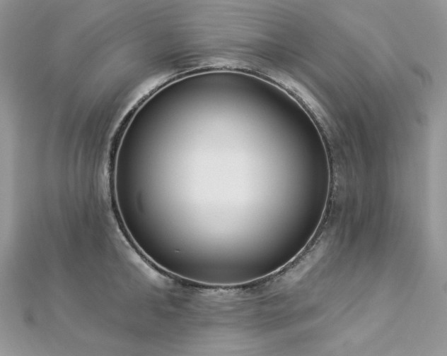 X0000112820902200908211203