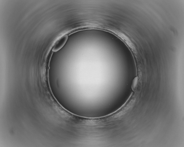 X0000112820904200908211203