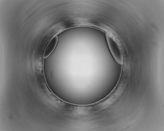 X0000112820905200908211203
