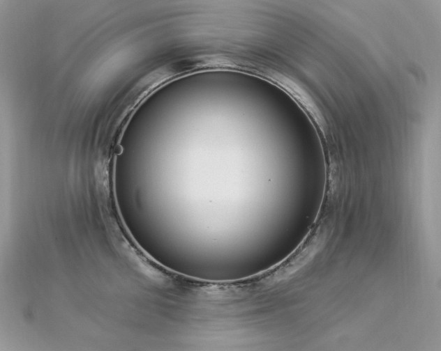 X0000112820906200908211203