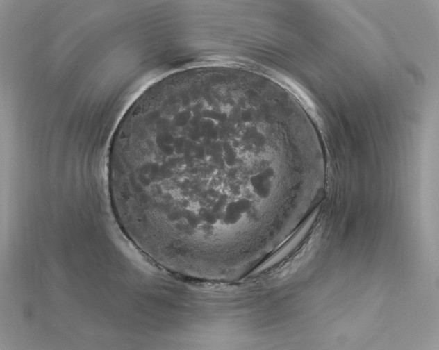 X0000112820907200908211203
