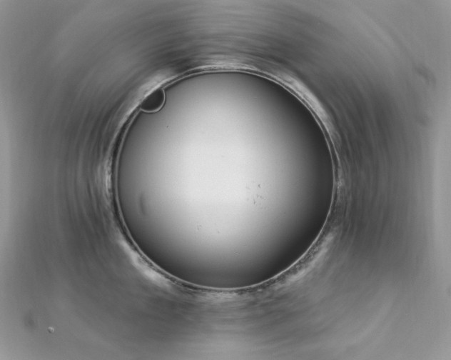 X0000112820909200908211203