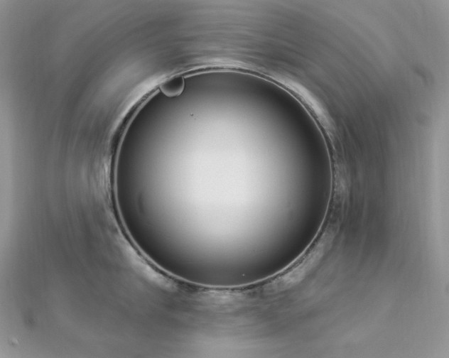X0000112820910200908211203