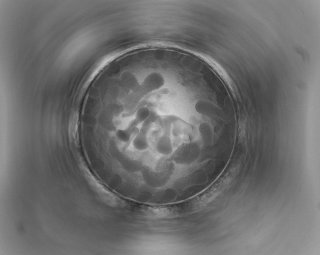 X0000112820911200908211203