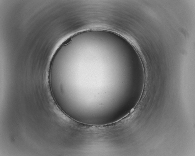 X0000112820912200908211203