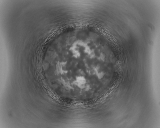 X0000112820913200908211202