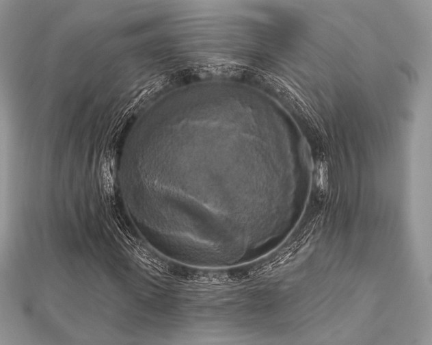X0000112820915200908211203