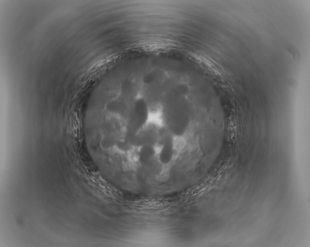 X0000112820917200908211203