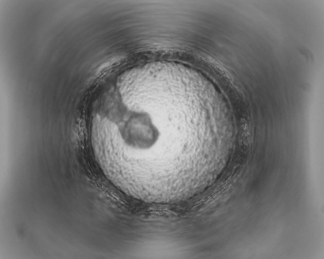 X0000112820918200908211203