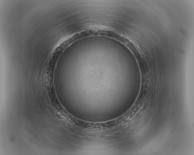 X0000112820919200908211203