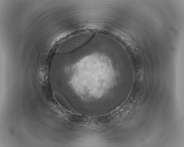 X0000112820920200908211203