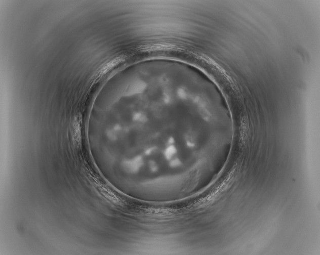 X0000112820921200908211203