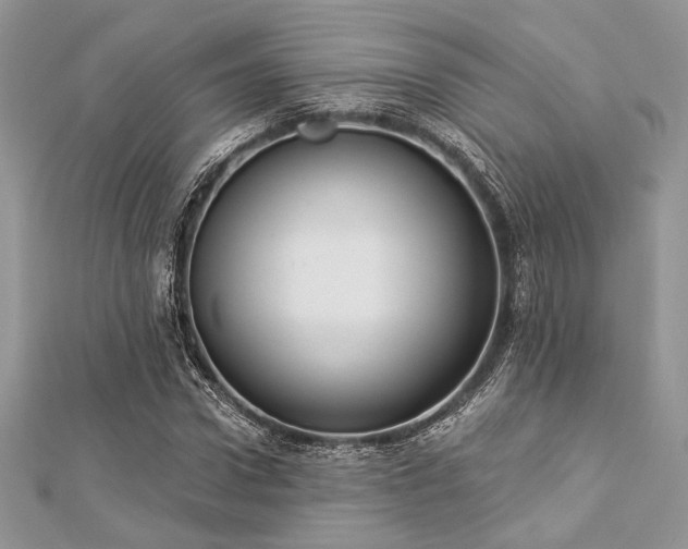 X0000112820922200908211203