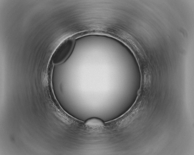 X0000112820924200908211203